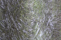 Y Ferwig fibreglass roof work